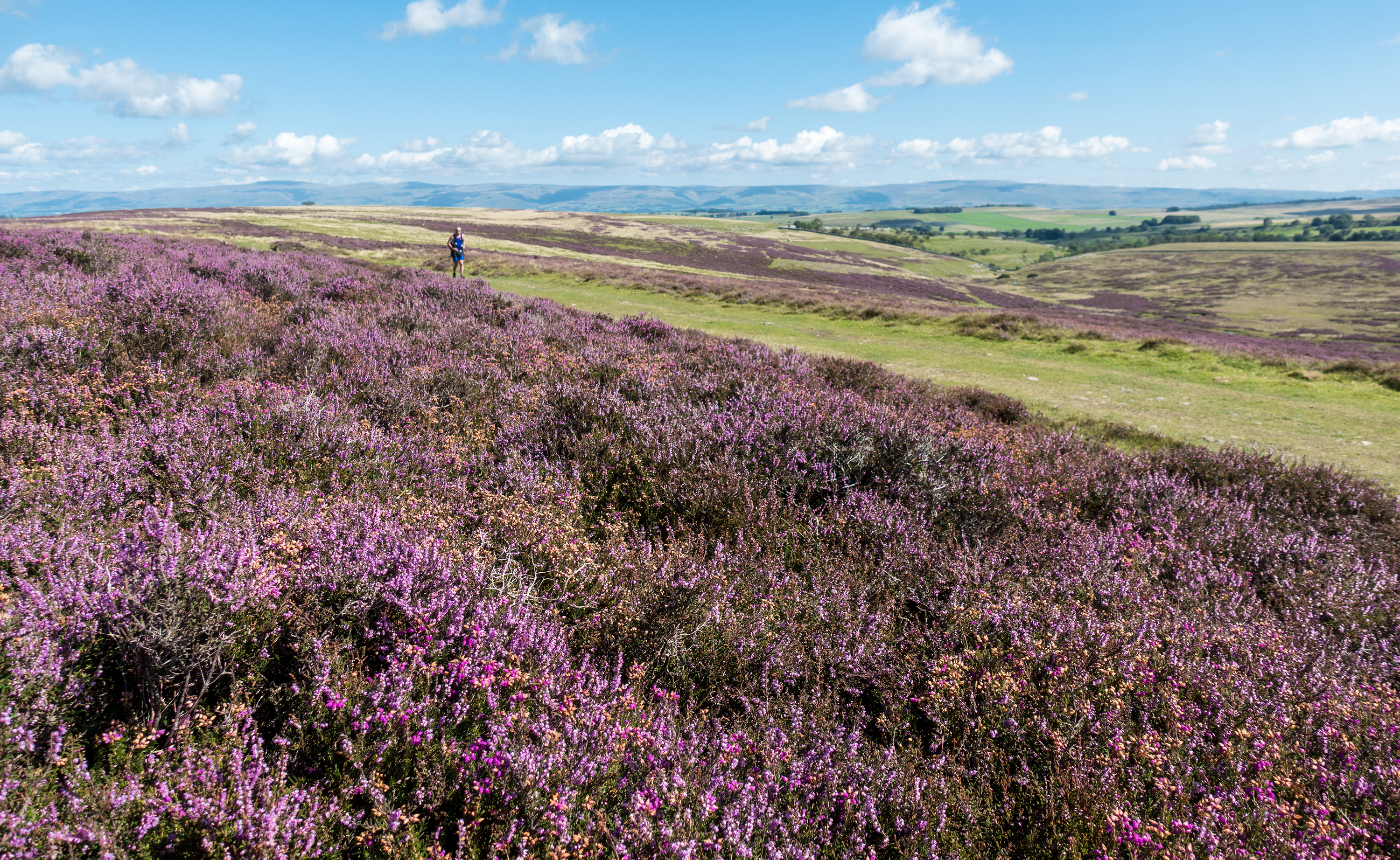 10 Westmorland Fells JS 10 Westmorland Fells JS