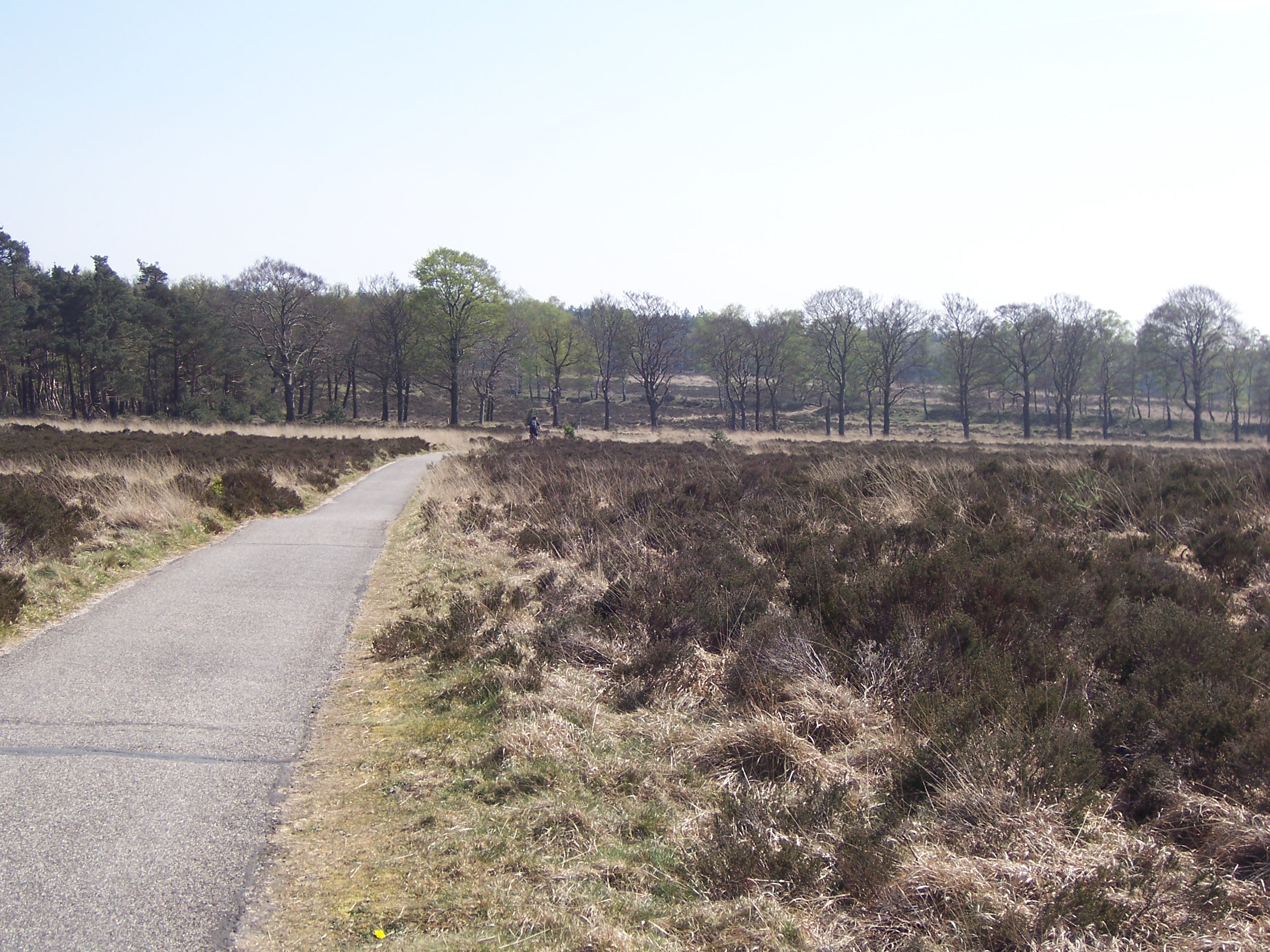 NL Veluwe10 NL Veluwe10
