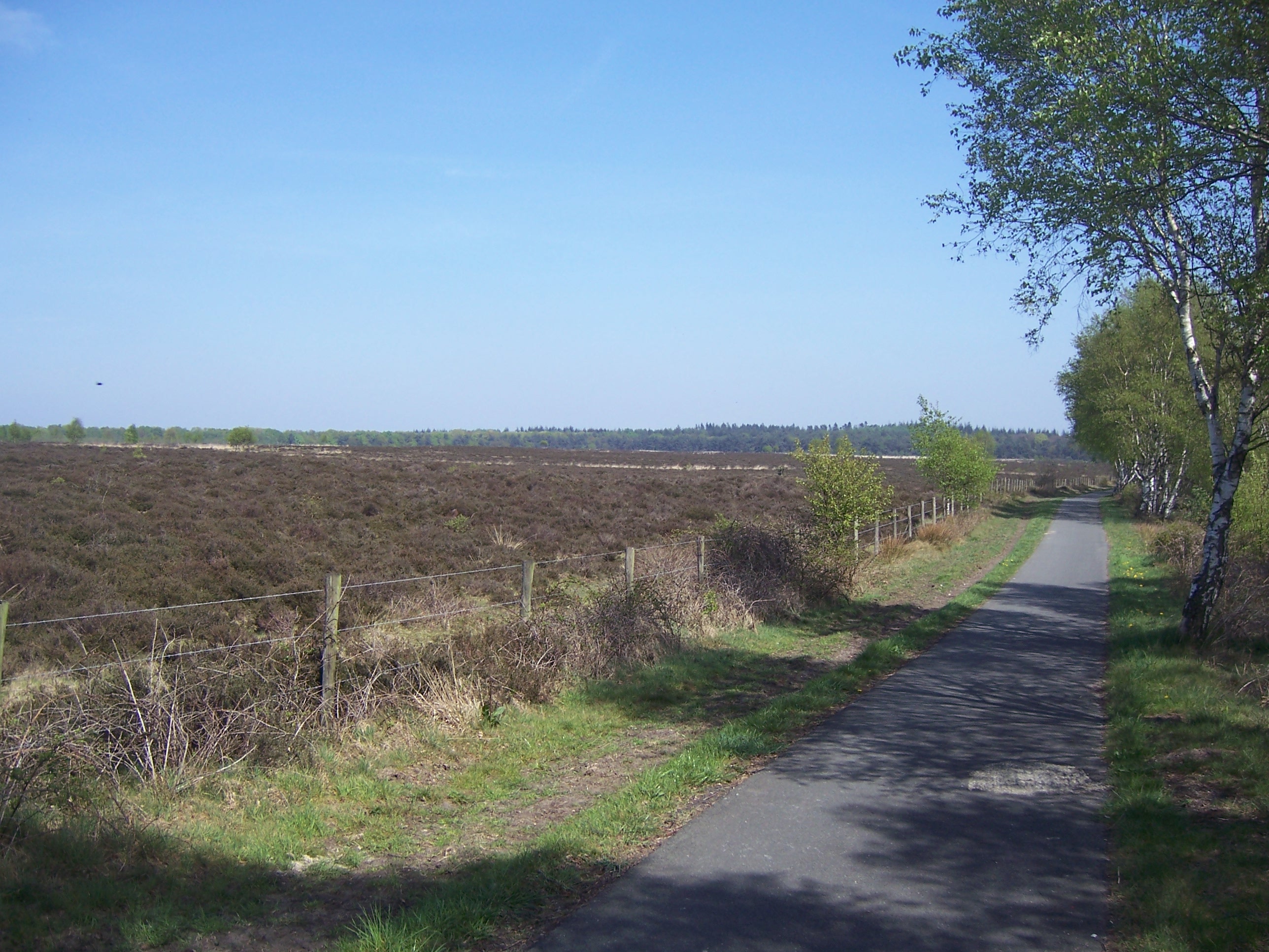 NL Veluwe1 NL Veluwe1