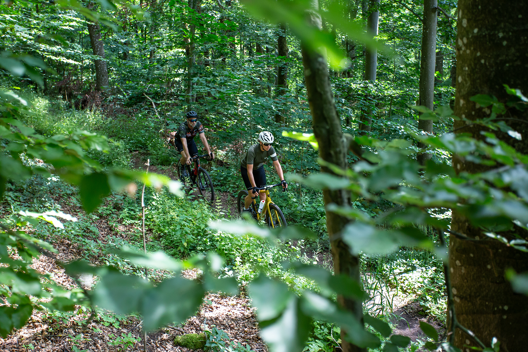 Gravel Wald Ralf Schanze (4) 72Dpi Gravel Wald Ralf Schanze (4) 72Dpi